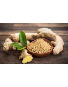 AyurNutri Sukku Churnam (Dried Ginger Powder), 100g